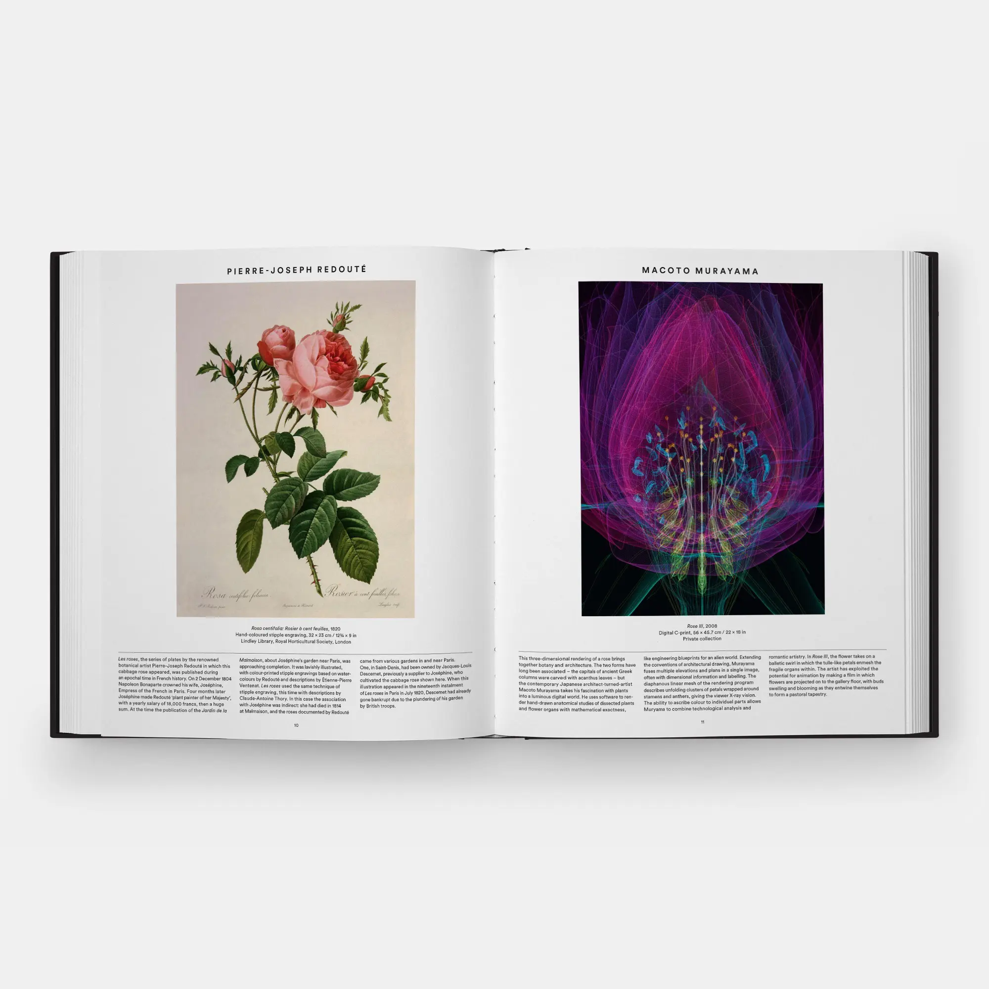 Bild: 9781837291472 | Plant | Exploring the Botanical World, Compact Format | Editors | Buch