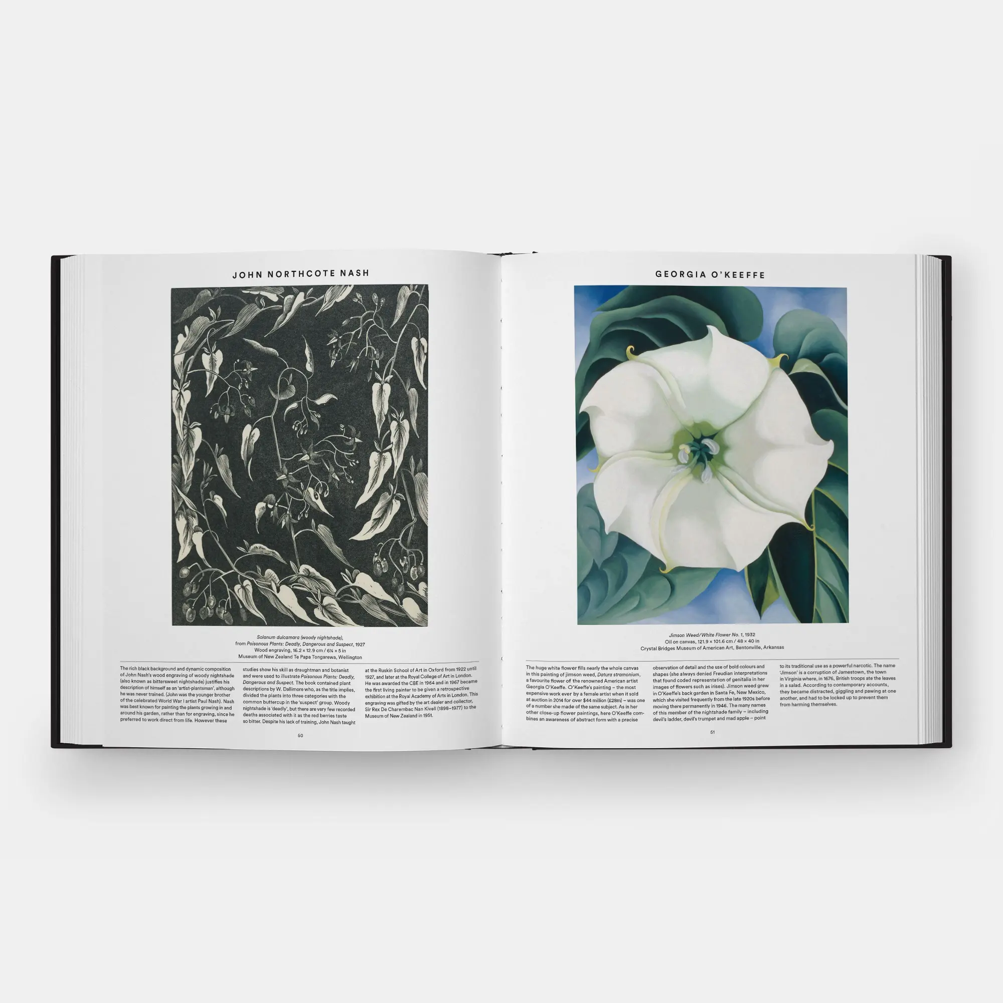 Bild: 9781837291472 | Plant | Exploring the Botanical World, Compact Format | Editors | Buch