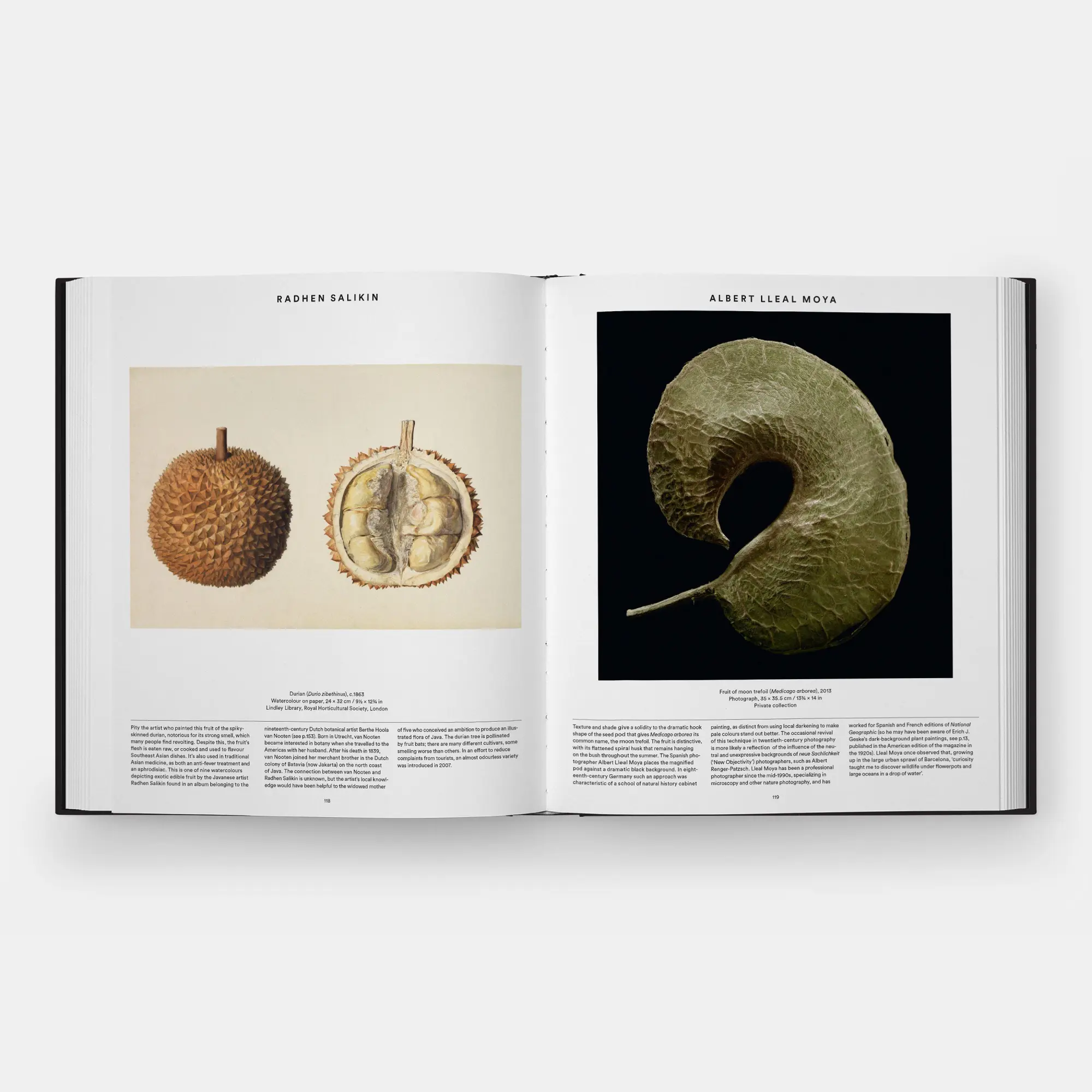 Bild: 9781837291472 | Plant | Exploring the Botanical World, Compact Format | Editors | Buch