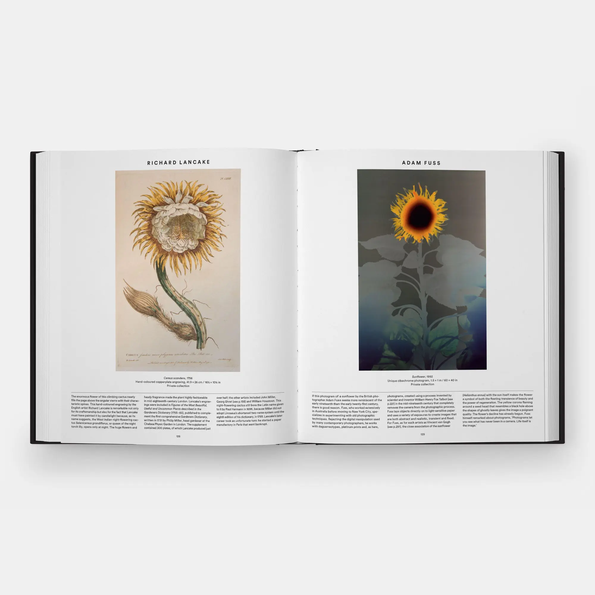 Bild: 9781837291472 | Plant | Exploring the Botanical World, Compact Format | Editors | Buch