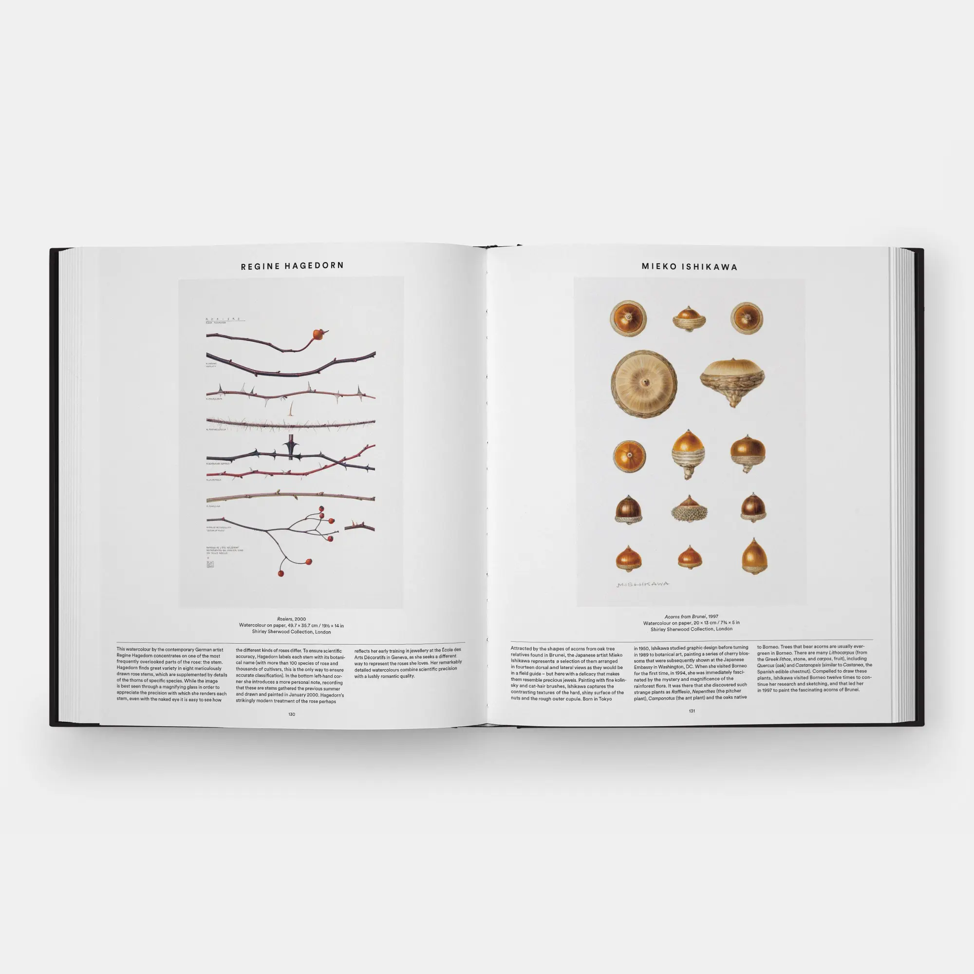 Bild: 9781837291472 | Plant | Exploring the Botanical World, Compact Format | Editors | Buch