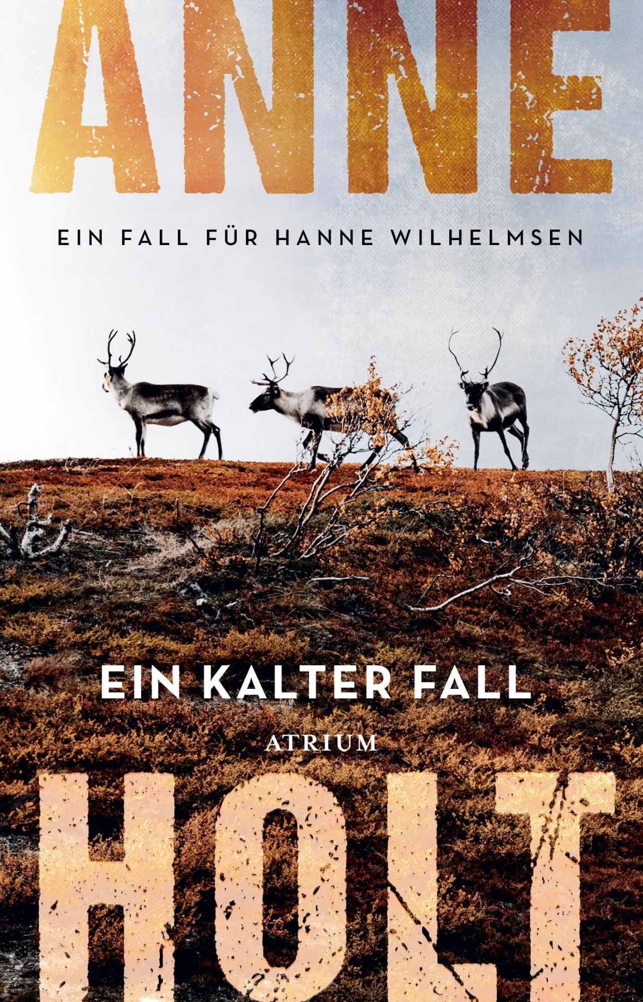 Cover: 9783038821472 | Ein kalter Fall | Ein Fall für Hanne Wilhelmsen. | Anne Holt | Buch