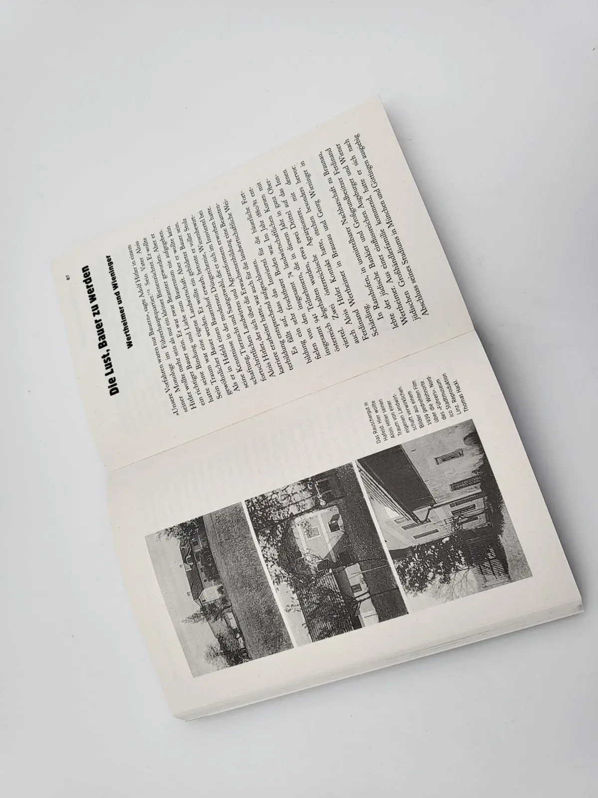 Bild: 9783492311472 | Hitlers Vater | Roman Sandgruber | Taschenbuch | 336 S. | Deutsch