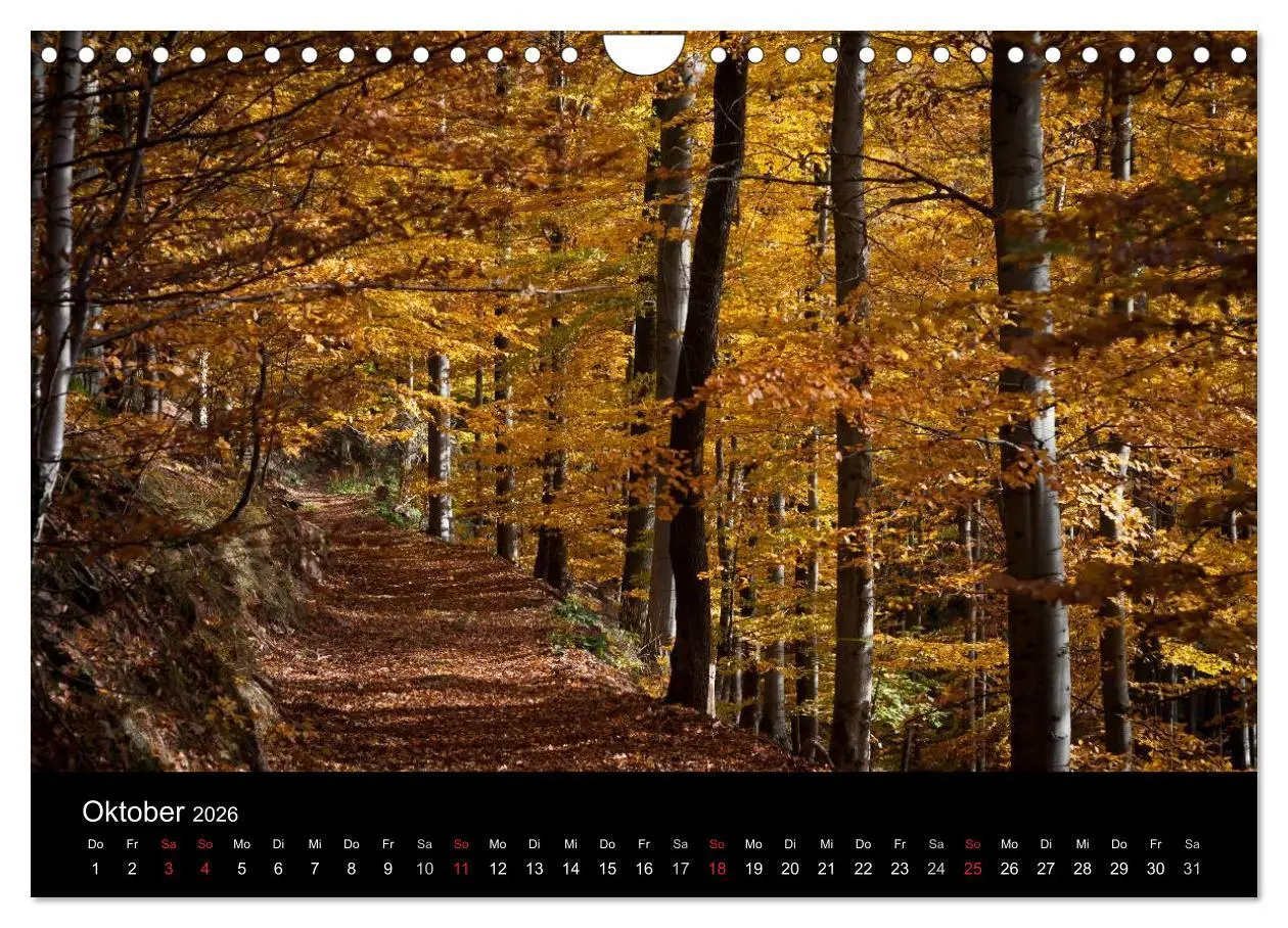Bild: 9783516231472 | Harz-Bilder (Wandkalender 2026 DIN A4 quer), CALVENDO Monatskalender