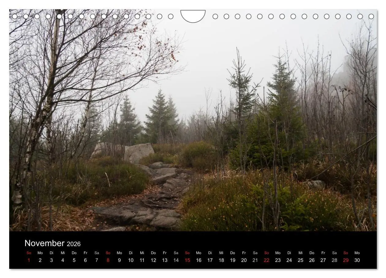 Bild: 9783516231472 | Harz-Bilder (Wandkalender 2026 DIN A4 quer), CALVENDO Monatskalender