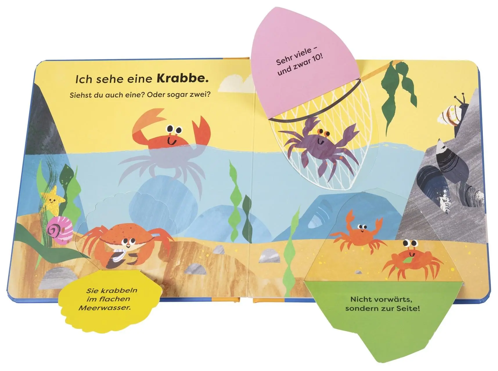Bild: 9783831051472 | Mein erstes Natur-Entdeckerbuch. Da! Ein Fisch | DK Verlag - Kids