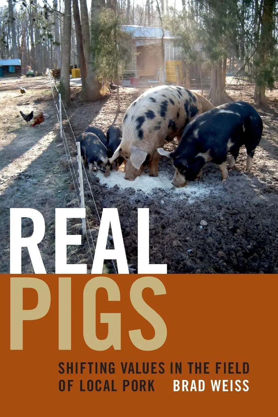 Cover: 9780822361572 | Real Pigs | Shifting Values in the Field of Local Pork | Brad Weiss