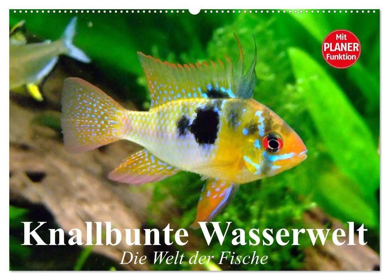 Cover: 9783457991572 | Knallbunte Wasserwelt. Die Welt der Fische (Wandkalender 2026 DIN...