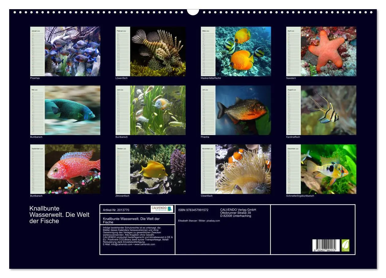 Bild: 9783457991572 | Knallbunte Wasserwelt. Die Welt der Fische (Wandkalender 2026 DIN...