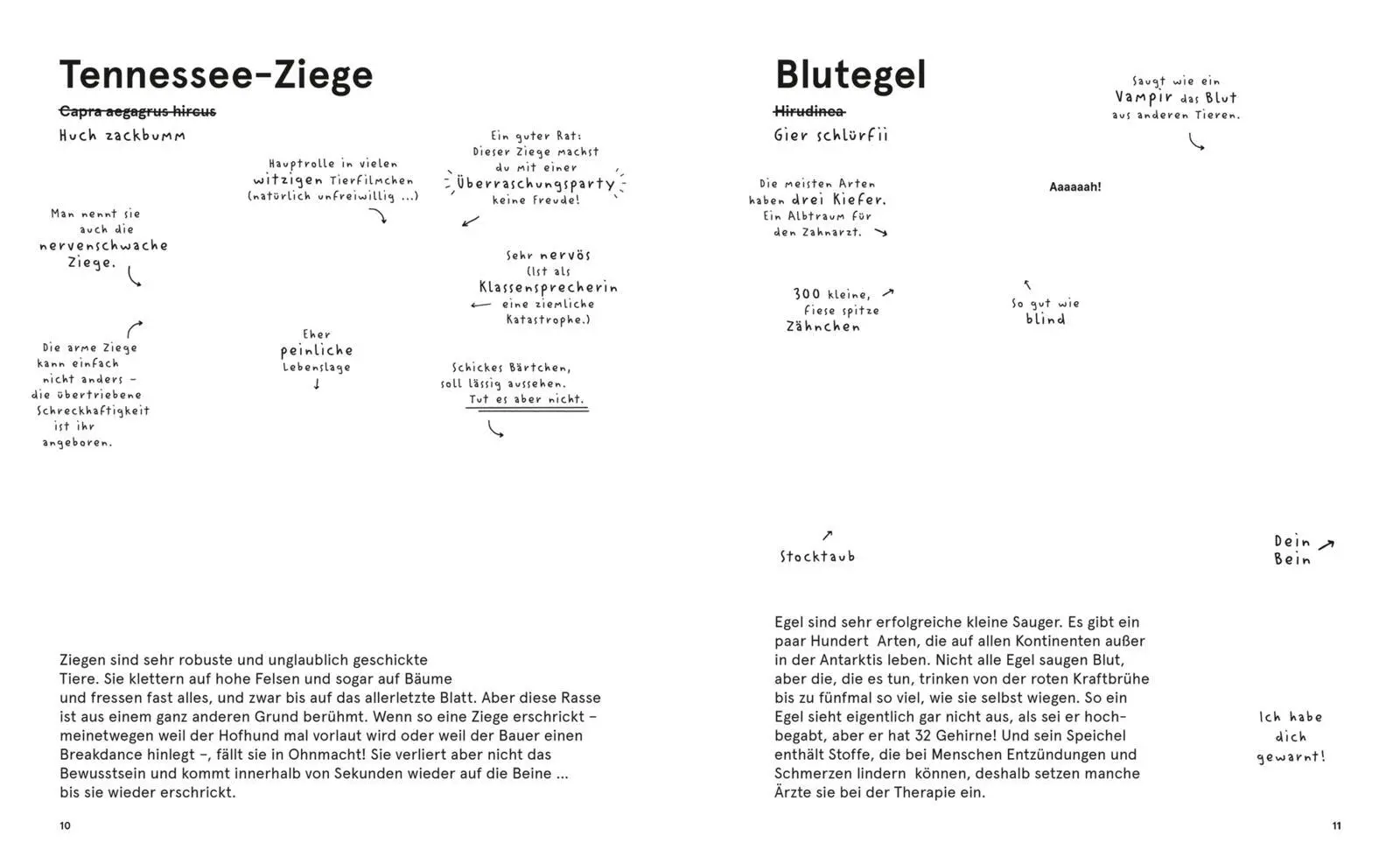 Bild: 9783551251572 | Das Lexikon einzigartiger Tiere | Philip Bunting | Buch | 80 S. | 2023