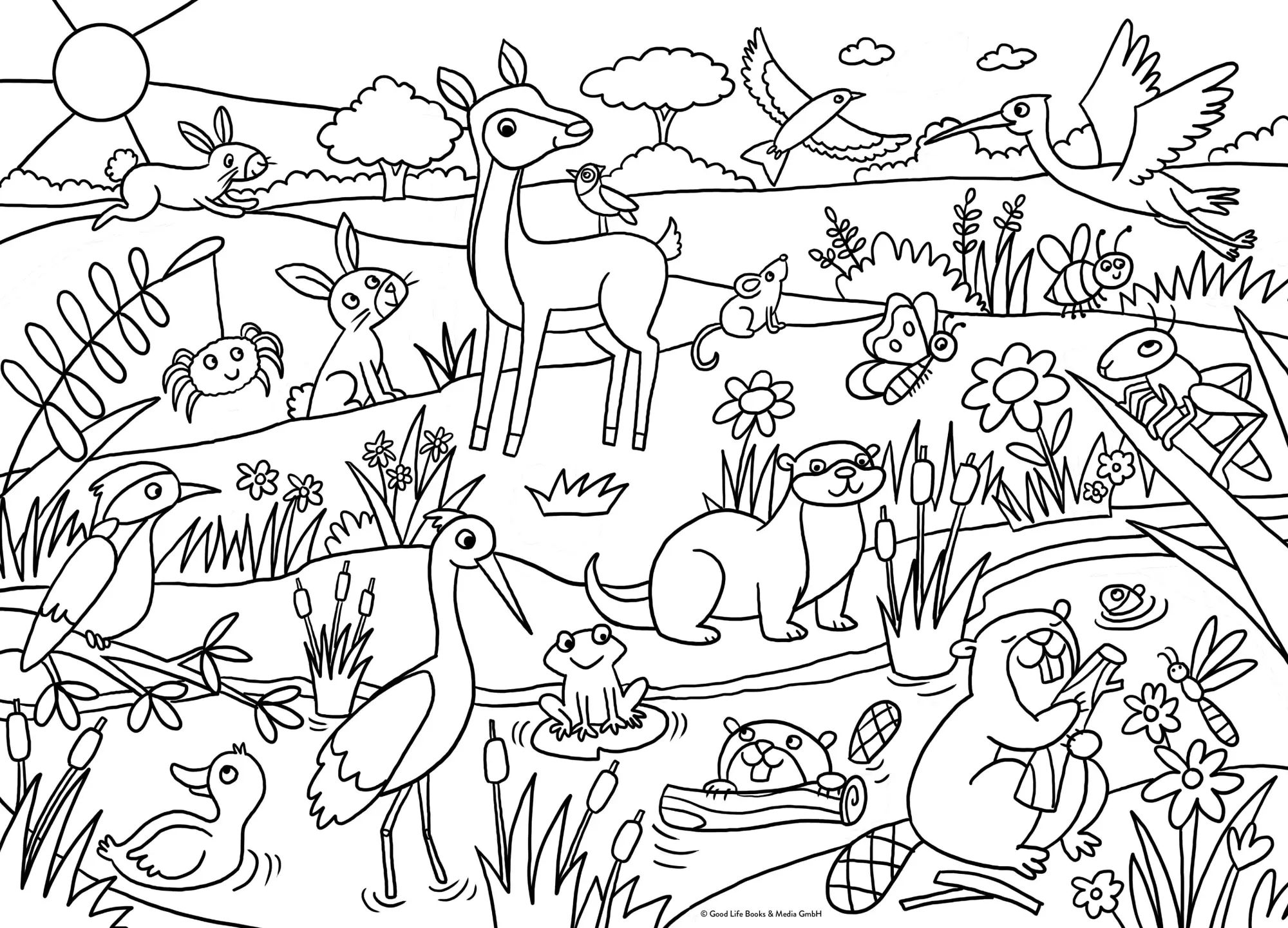 Bild: 9783987641572 | Ausmalposter Tiere | Pen2nature | Taschenbuch | 5 S. | Deutsch | 2025