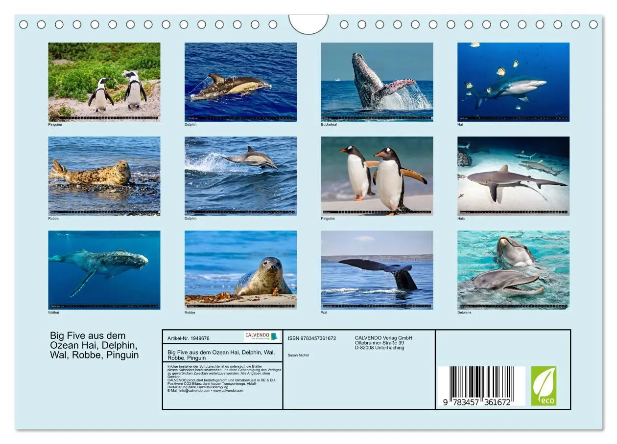 Bild: 9783457361672 | Big Five aus dem Ozean Hai, Delphin, Wal, Robbe, Pinguin...
