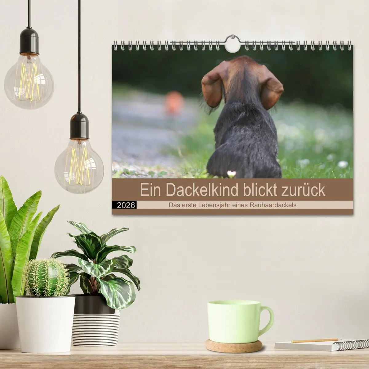 Bild: 9783457741672 | Ein Dackelkind blickt zurück (Wandkalender 2026 DIN A4 quer),...