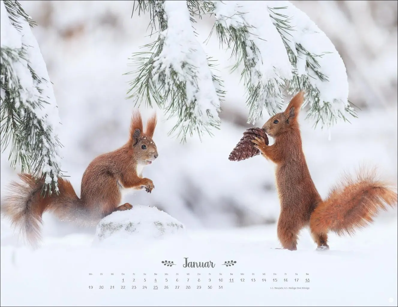 Bild: 9783756411672 | Vadim Trunov: Märchenhaftes Waldleben Posterkalender 2026 | Trunov