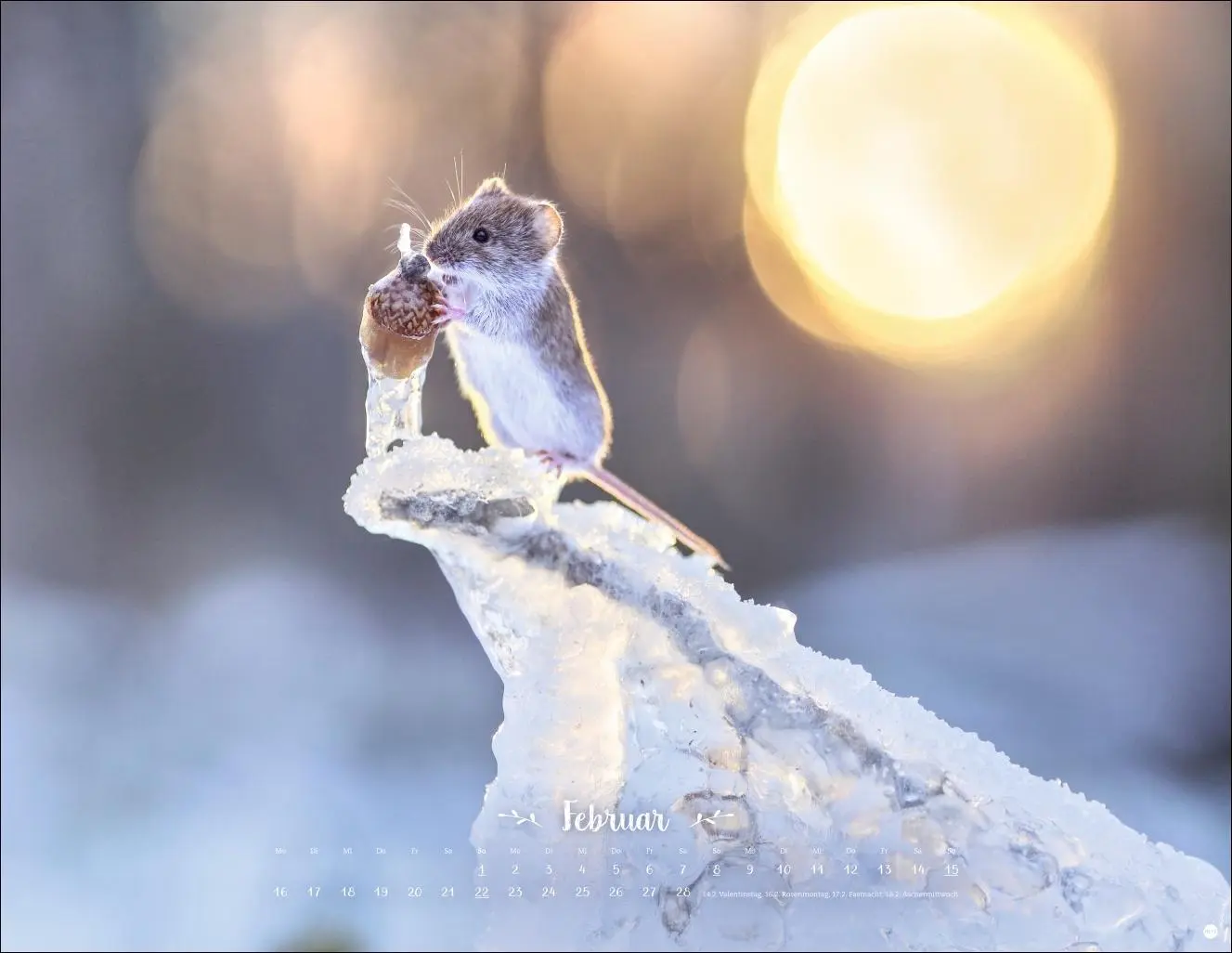 Bild: 9783756411672 | Vadim Trunov: Märchenhaftes Waldleben Posterkalender 2026 | Trunov