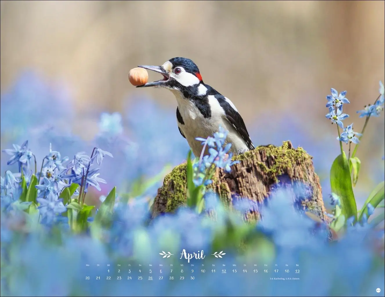 Bild: 9783756411672 | Vadim Trunov: Märchenhaftes Waldleben Posterkalender 2026 | Trunov