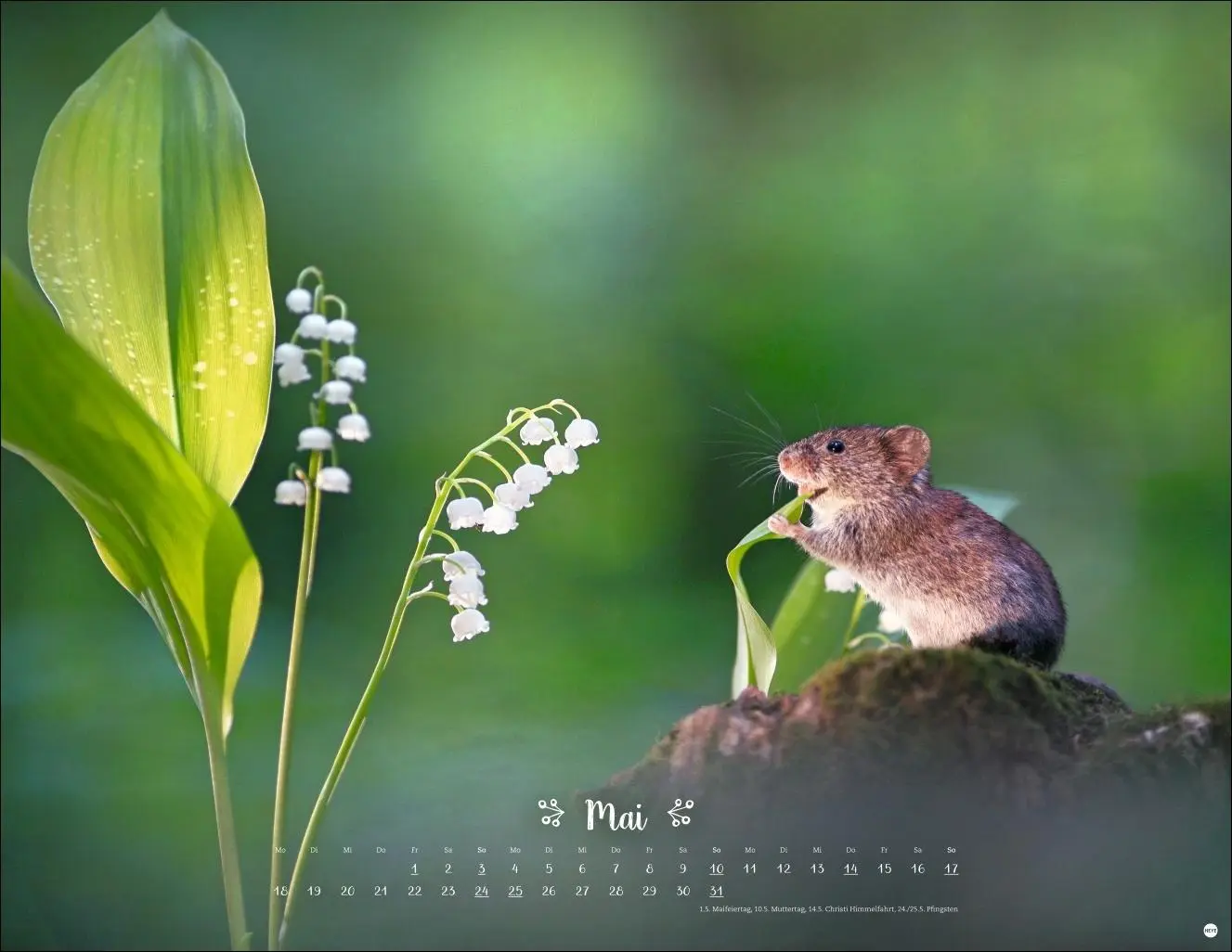 Bild: 9783756411672 | Vadim Trunov: Märchenhaftes Waldleben Posterkalender 2026 | Trunov
