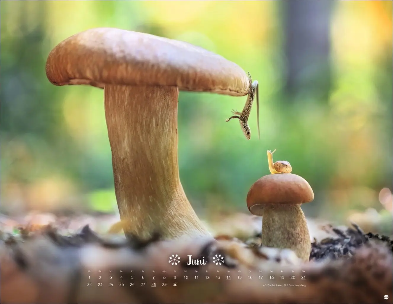 Bild: 9783756411672 | Vadim Trunov: Märchenhaftes Waldleben Posterkalender 2026 | Trunov