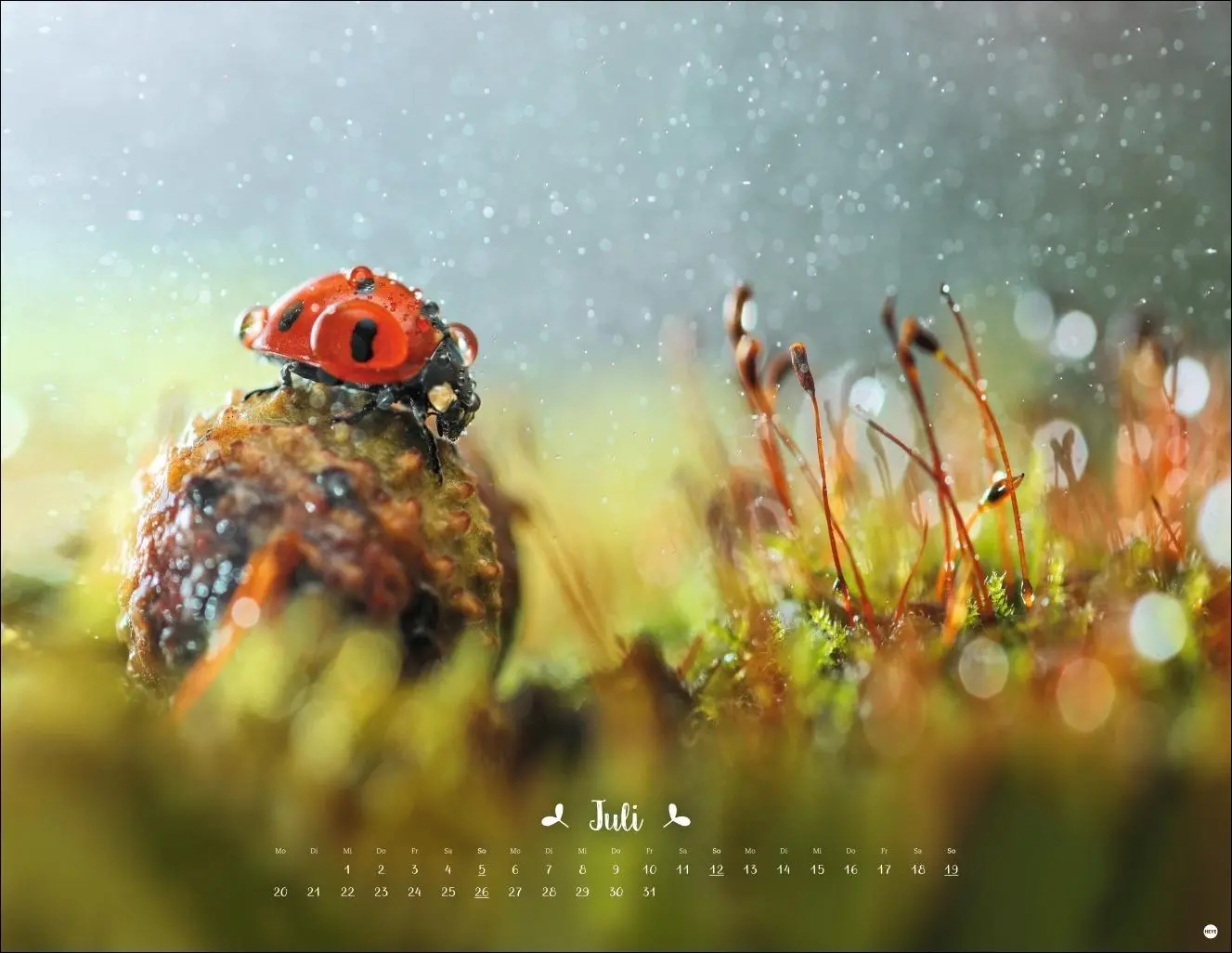 Bild: 9783756411672 | Vadim Trunov: Märchenhaftes Waldleben Posterkalender 2026 | Trunov