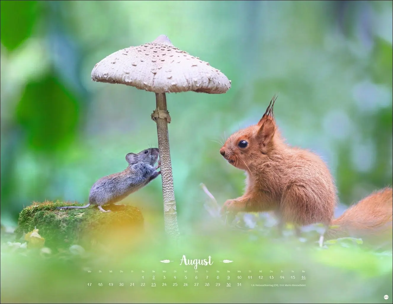 Bild: 9783756411672 | Vadim Trunov: Märchenhaftes Waldleben Posterkalender 2026 | Trunov