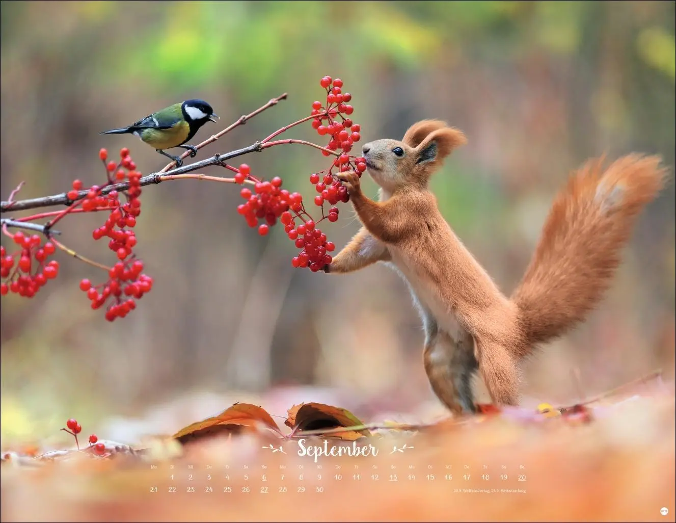 Bild: 9783756411672 | Vadim Trunov: Märchenhaftes Waldleben Posterkalender 2026 | Trunov