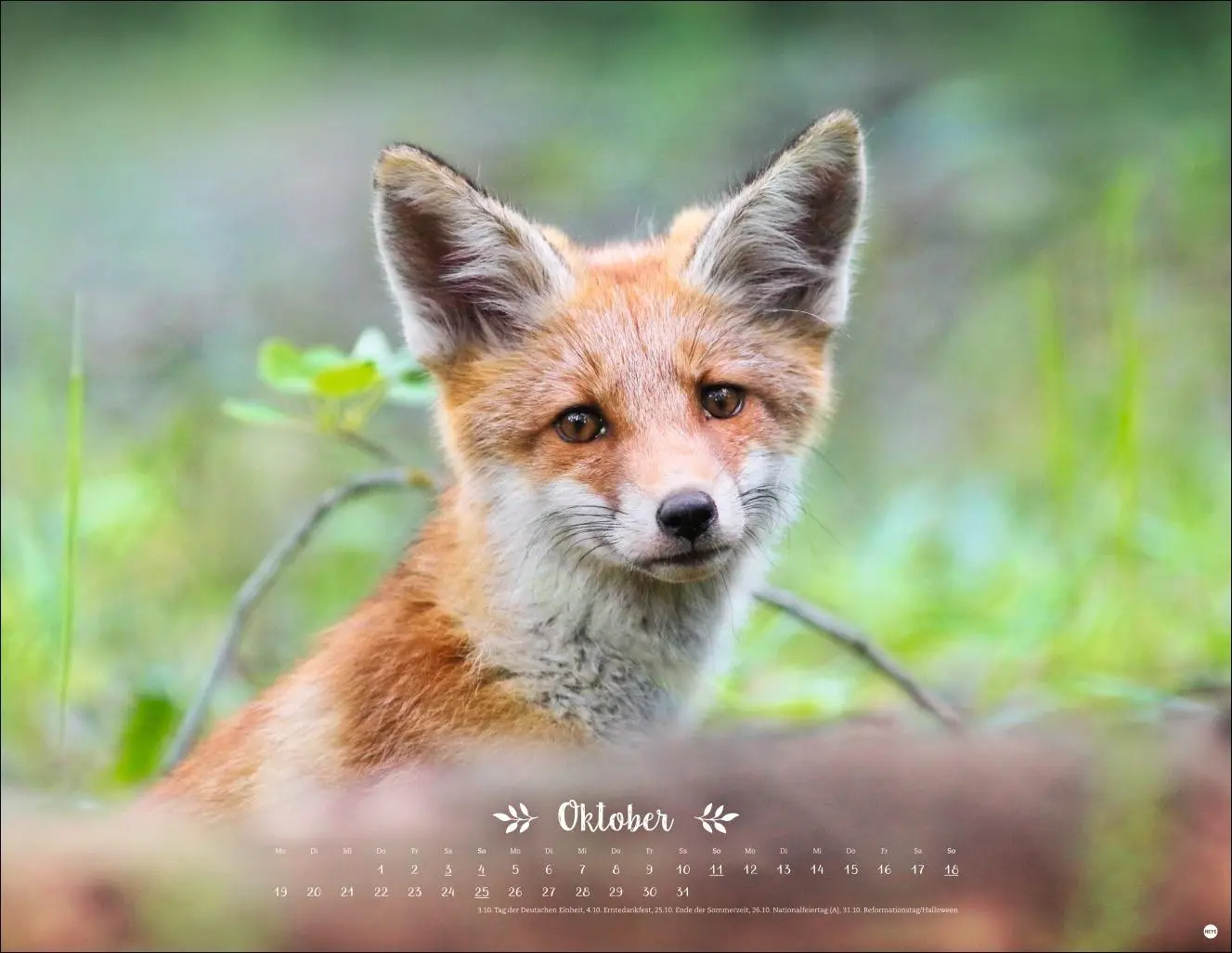 Bild: 9783756411672 | Vadim Trunov: Märchenhaftes Waldleben Posterkalender 2026 | Trunov