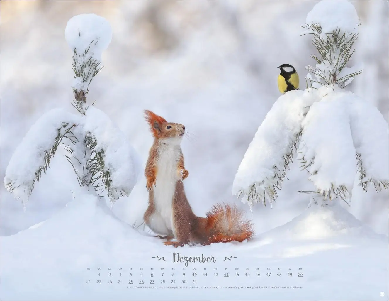 Bild: 9783756411672 | Vadim Trunov: Märchenhaftes Waldleben Posterkalender 2026 | Trunov
