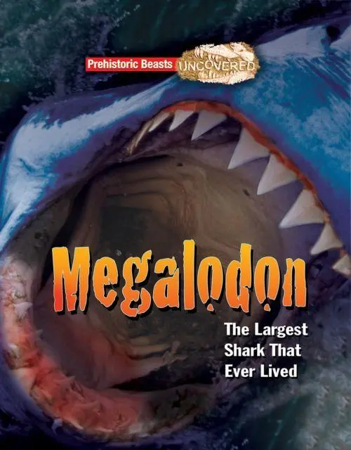 Cover: 9781911341772 | Megalodon | The Largest Shark That Ever Lived | Dougal Dixon | Buch