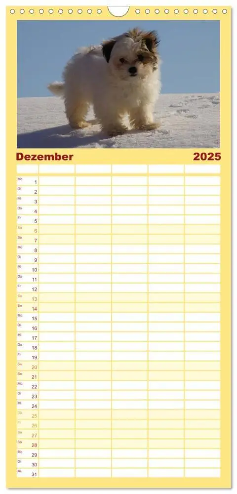 Bild: 9783457111772 | Familienplaner 2025 - Bolonka Zwetna mit 5 Spalten (Wandkalender,...