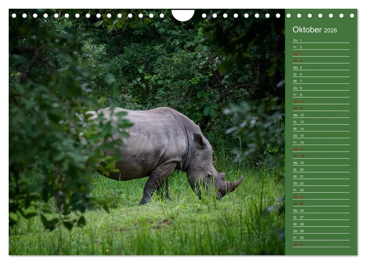 Bild: 9783457591772 | UGANDA - Perle Afrikas (Wandkalender 2026 DIN A4 quer), CALVENDO...