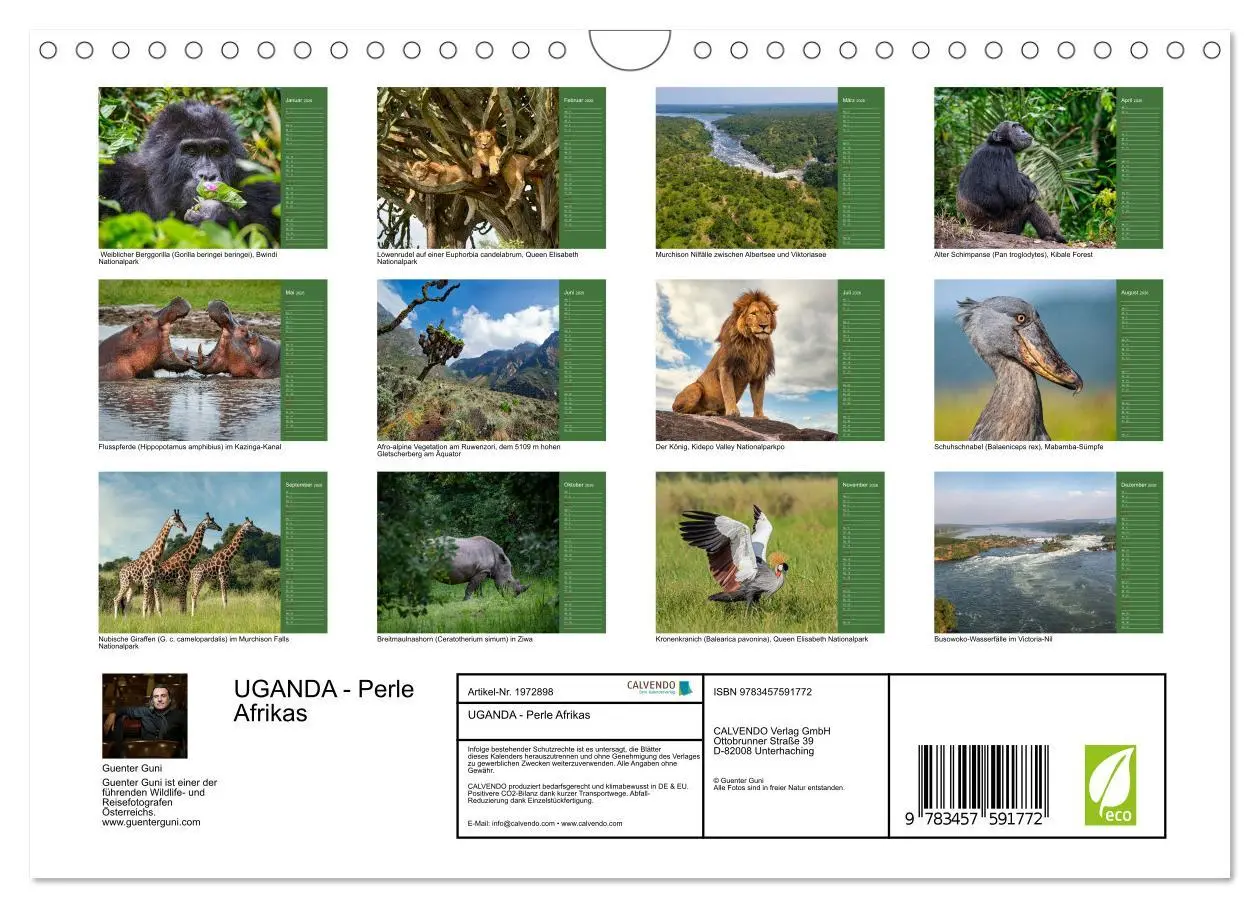 Bild: 9783457591772 | UGANDA - Perle Afrikas (Wandkalender 2026 DIN A4 quer), CALVENDO...