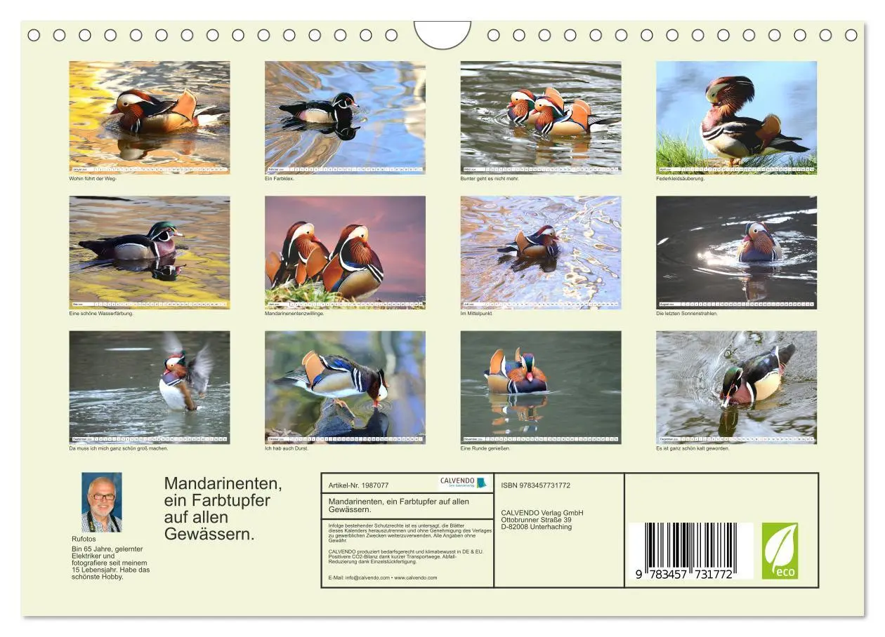 Bild: 9783457731772 | Mandarinenten, ein Farbtupfer auf allen Gewässern. (Wandkalender...
