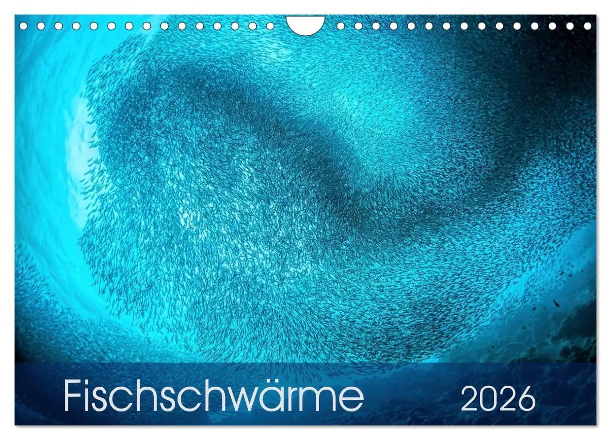 Cover: 9783516061772 | Fischschwärme (Wandkalender 2026 DIN A4 quer), CALVENDO Monatskalender