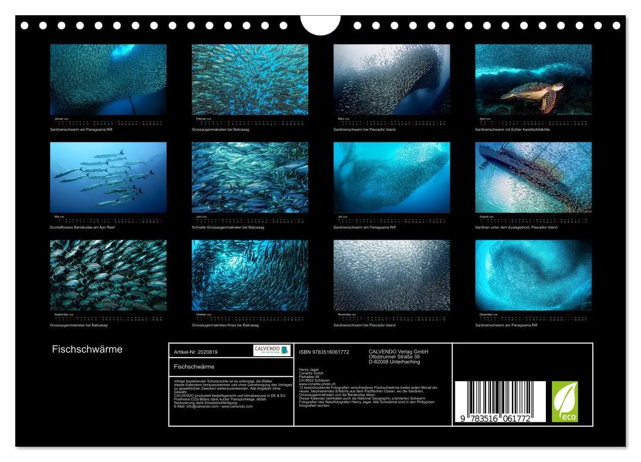 Bild: 9783516061772 | Fischschwärme (Wandkalender 2026 DIN A4 quer), CALVENDO Monatskalender