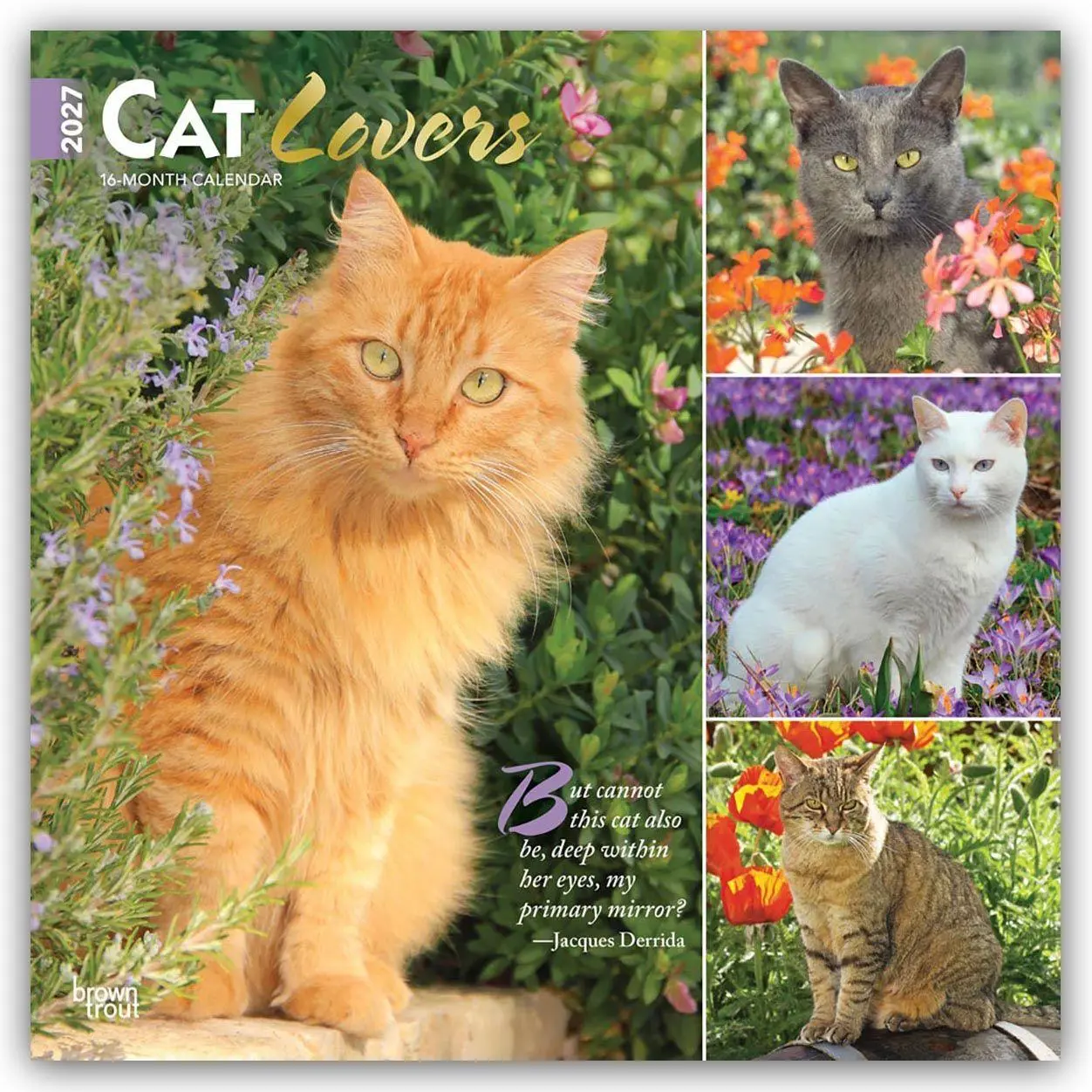 Cover: 9798330711772 | Cat Lovers - Katzenliebhaber 2027 - 16-Monatskalender | Publishers
