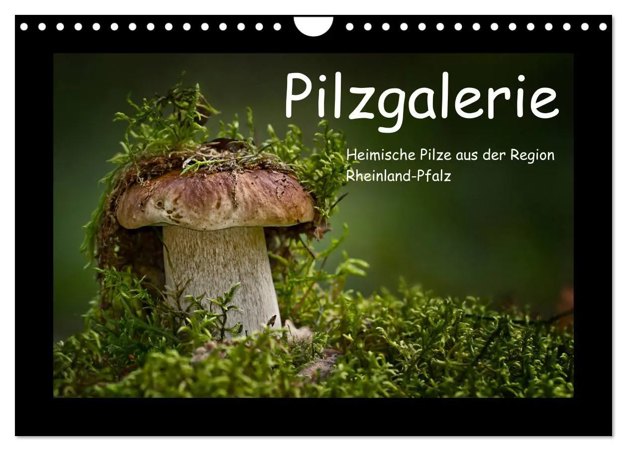 Cover: 9783457891872 | Pilzgalerie - Heimische Pilze aus der Region Rheinland-Pfalz...