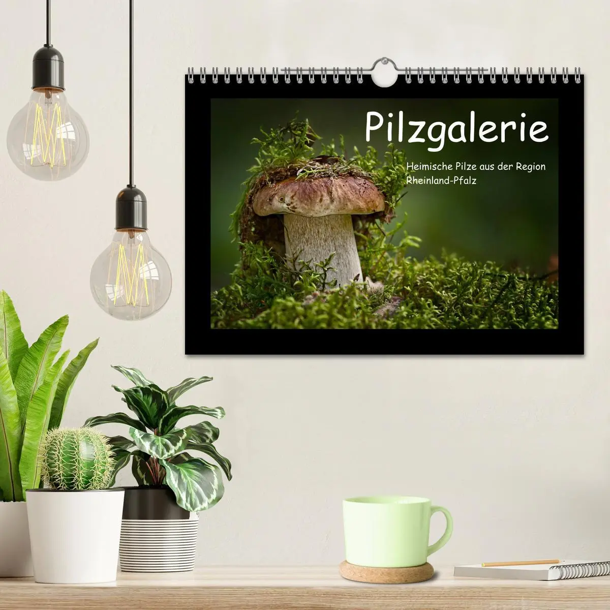 Bild: 9783457891872 | Pilzgalerie - Heimische Pilze aus der Region Rheinland-Pfalz...