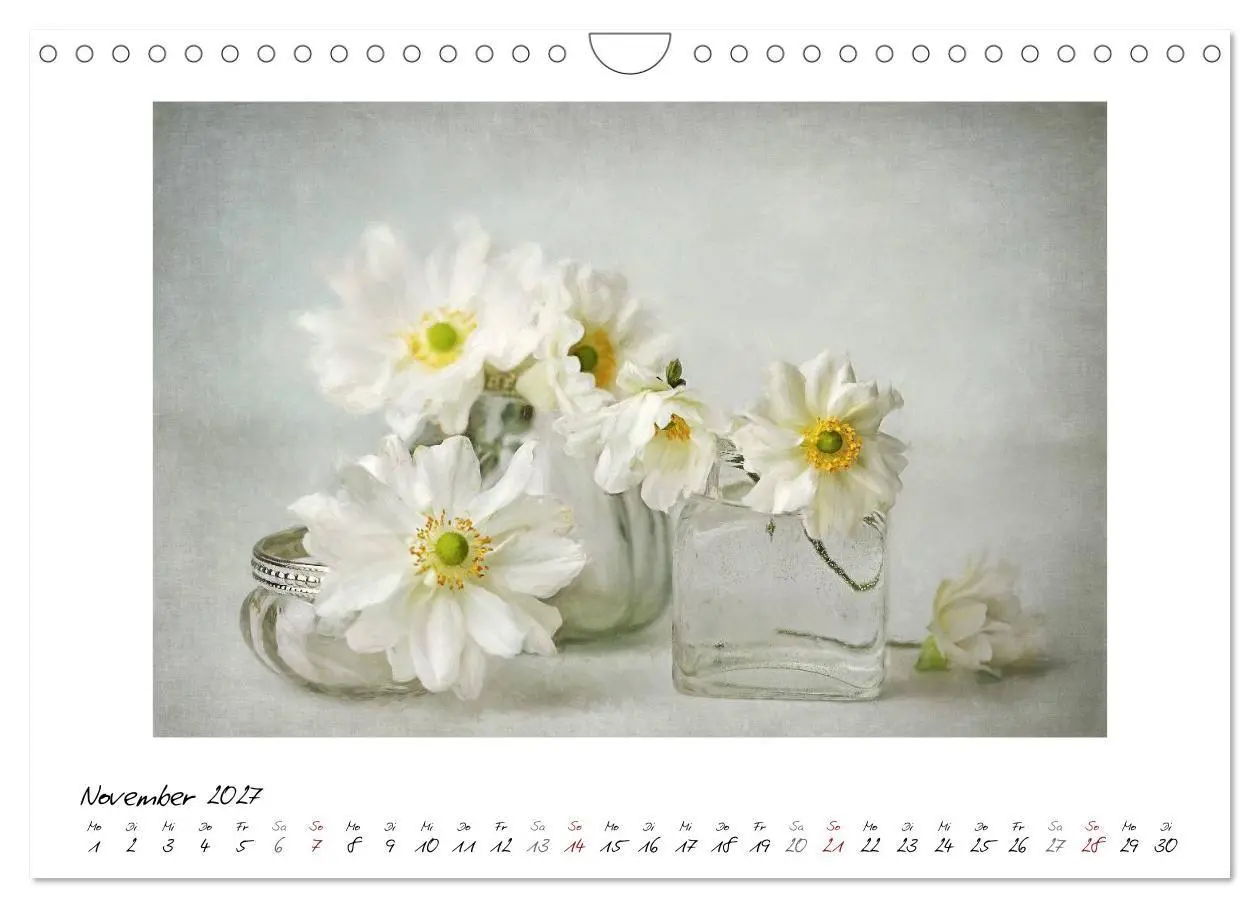 Bild: 9783569901872 | Kleine Blütenwunder (Wandkalender 2027 DIN A4 quer), CALVENDO...