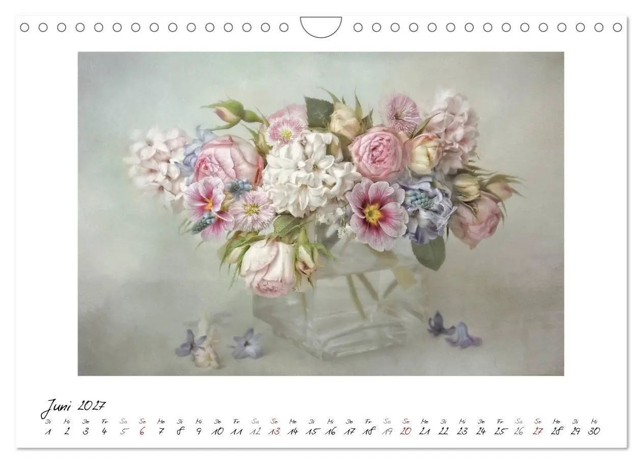 Bild: 9783569901872 | Kleine Blütenwunder (Wandkalender 2027 DIN A4 quer), CALVENDO...