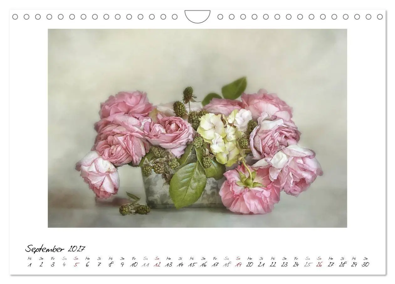 Bild: 9783569901872 | Kleine Blütenwunder (Wandkalender 2027 DIN A4 quer), CALVENDO...