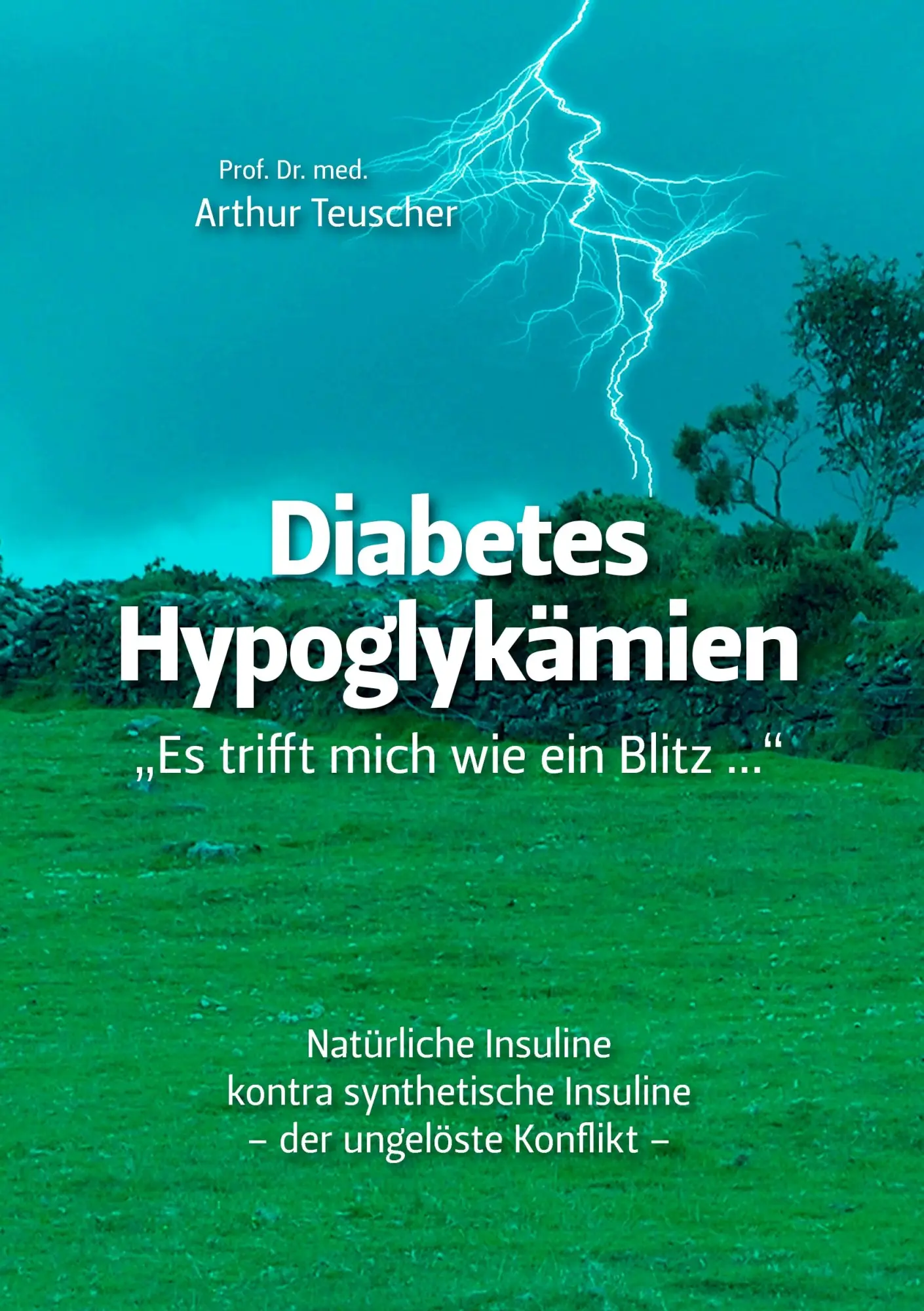 Cover: 9783833471872 | Diabetes Hypoglykämien | "Es trifft mich wie ein Blitz ..." | Teuscher