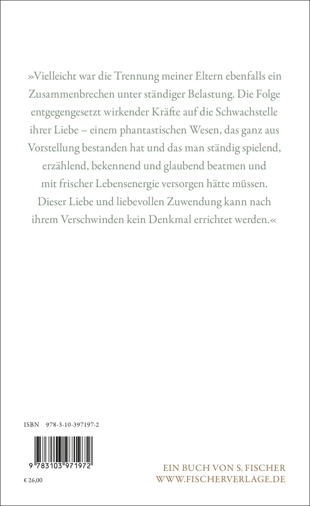 Rückseite: 9783103971972 | Videotime | Familienroman | Roman Ehrlich | Buch | 368 S. | Deutsch