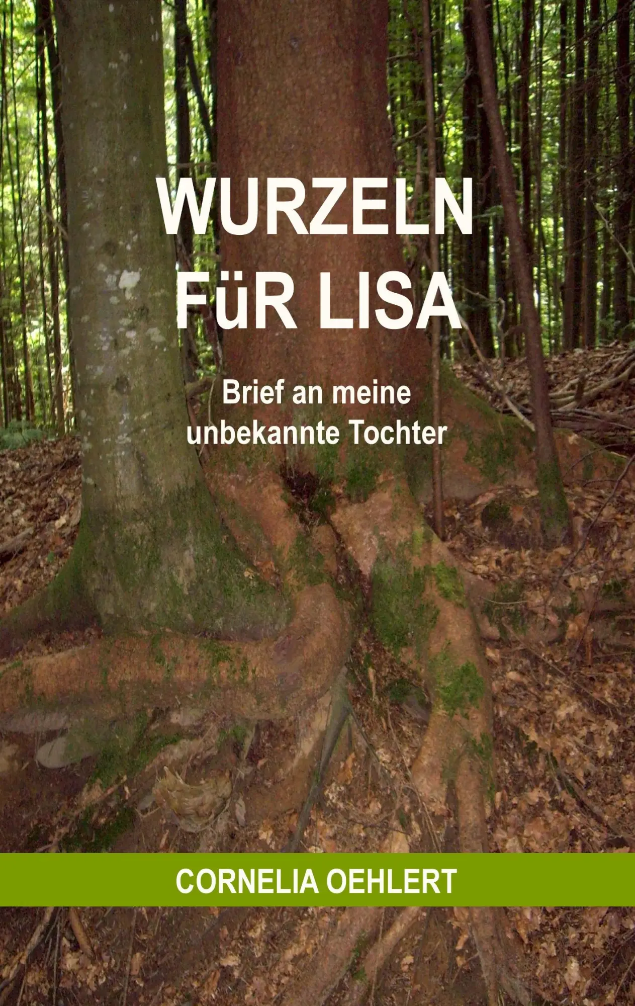 Cover: 9783837041972 | Wurzeln für Lisa | Brief an meine unbekannte Tochter | Oehlert | Buch