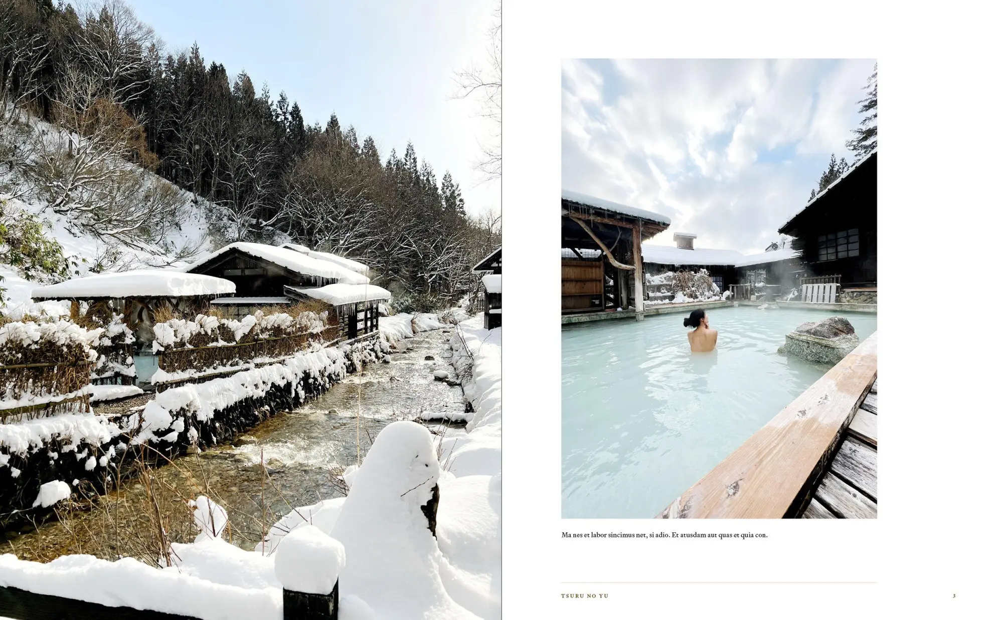 Bild: 9783967041972 | Onsen and Ryokan of Japan | Gestalten (u. a.) | Buch | 256 S. | 2025