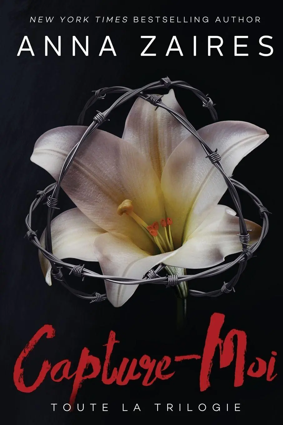 Cover: 9781631422072 | Capture-Moi | Toute la Trilogie | Anna Zaires (u. a.) | Taschenbuch