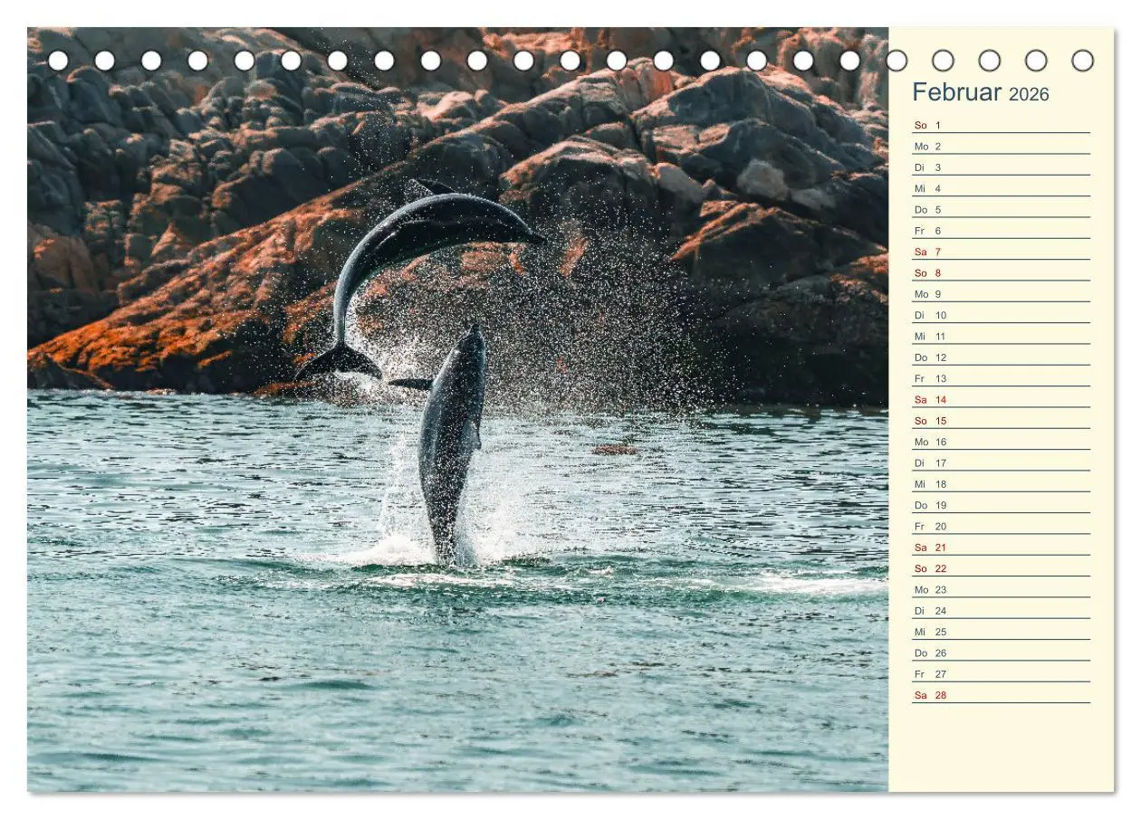 Bild: 9783457392072 | Oman - Unvergessliche Momente (Tischkalender 2026 DIN A5 quer),...