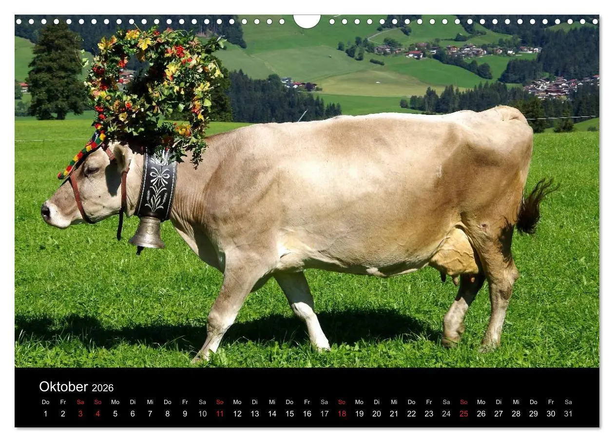 Bild: 9783516002072 | Almabtrieb in Tirol (Wandkalender 2026 DIN A3 quer), CALVENDO...