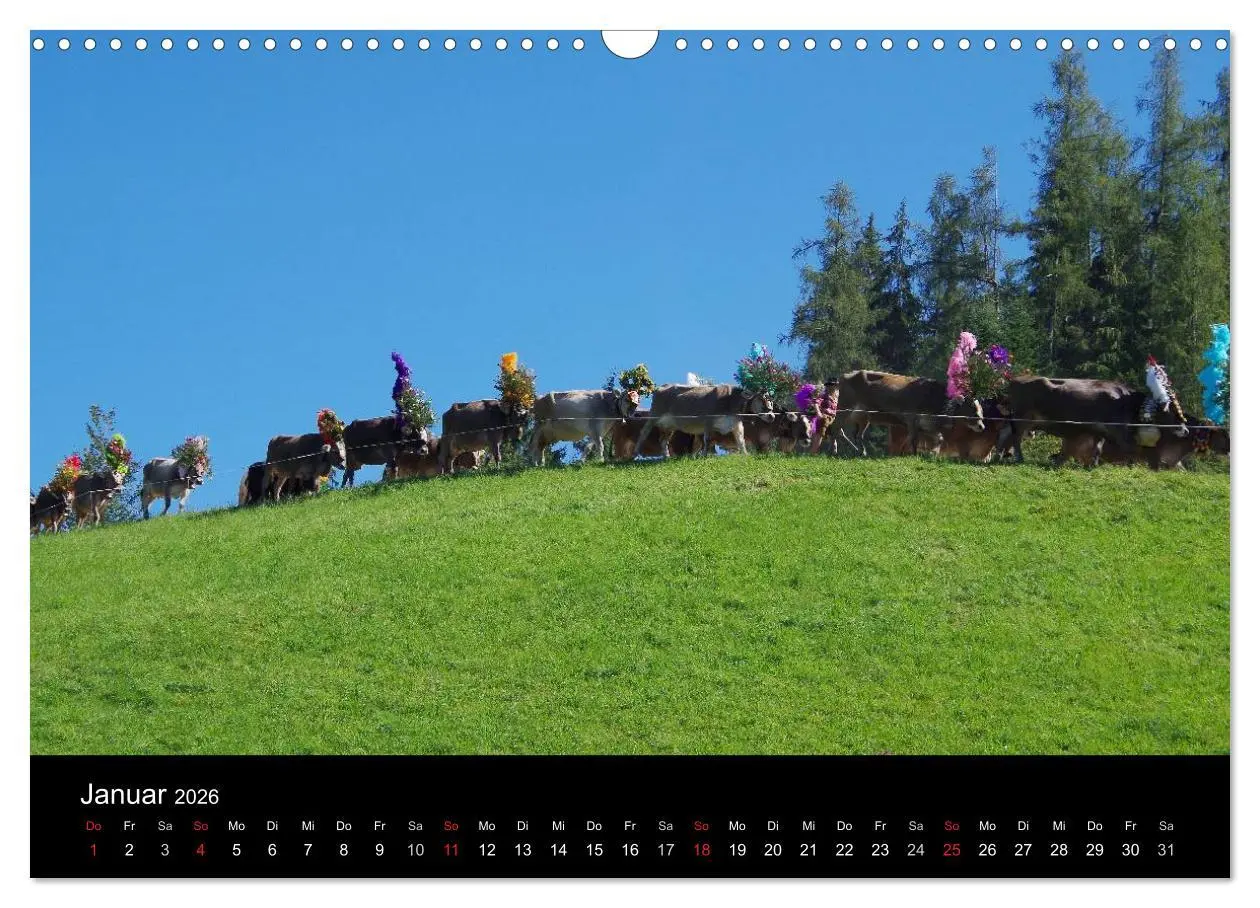 Bild: 9783516002072 | Almabtrieb in Tirol (Wandkalender 2026 DIN A3 quer), CALVENDO...