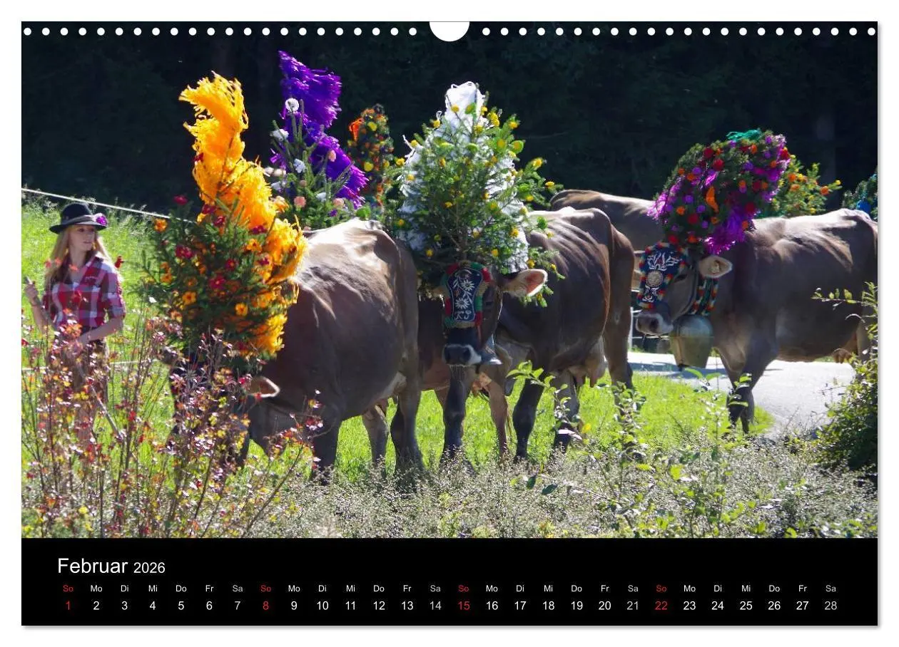 Bild: 9783516002072 | Almabtrieb in Tirol (Wandkalender 2026 DIN A3 quer), CALVENDO...