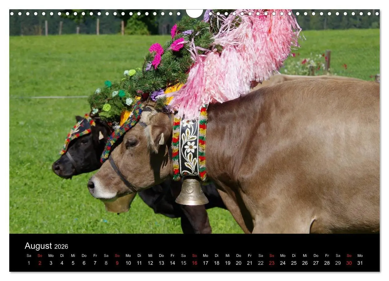 Bild: 9783516002072 | Almabtrieb in Tirol (Wandkalender 2026 DIN A3 quer), CALVENDO...